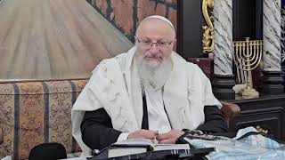 איך מתחברים אל השפע האין סופי? | הרב שמואל אליהו | הלכה יומית | ט"ו סיון תשפ"ד (הרב שמואל אליהו) - התמונה מוצגת ישירות מתוך אתר האינטרנט יוטיוב. זכויות היוצרים בתמונה שייכות ליוצרה. קישור קרדיט למקור התוכן נמצא בתוך דף הסרטון