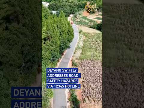 Deyang swiftly addresses road-safety hazards via 12345 hotline #coolchina