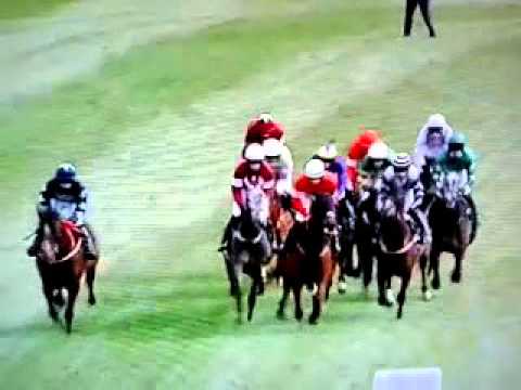 Race at ladiesday Aintree 2016(1)