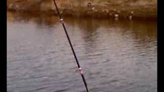 preview picture of video 'dağcı göletinde balık avı'