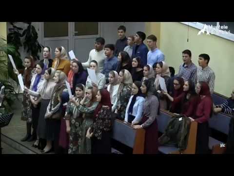 Tinerii din Otelul Rosu - Tu tot stai pe mal de prapastii