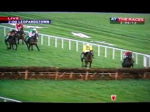Voler La Vedette Wins Leopardstown's Christmas Hurdle (28/12/11)
