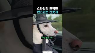 개까리 하네~