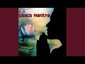 Peace Mantra Swasthina Indro