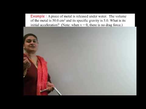 Introductory physics I - Buoyant Force - Archimedes  Principle