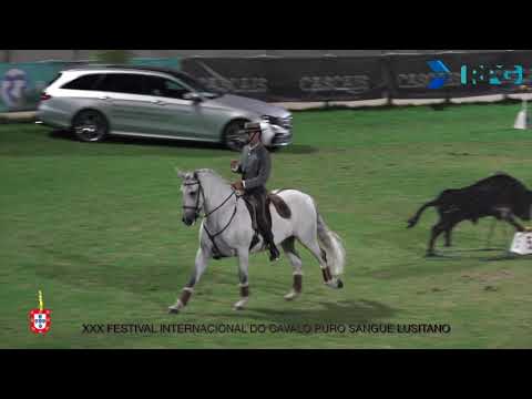 180622 Velocidade - João André Gonçalves com Damasco