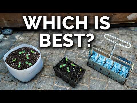 How to Transplant Seedlings My High Density Method