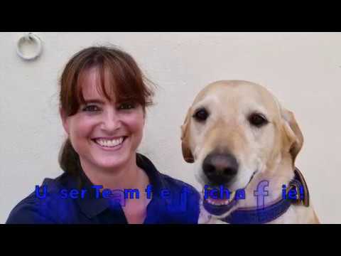 Pferdeklinik Salzhofen der Film - Chirurgie, Fohlenmedizin, Innere Medizin, Rekonvaleszenz