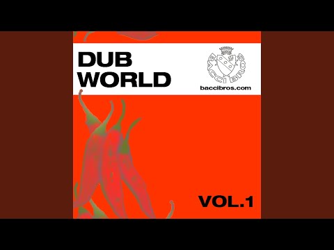 Never gonna give up (Dub Mix)