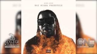 King Louie - Hot Nigga