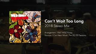Can't Wait Too Long (2018 Stereo Mix)