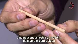 Miniatura do vídeo
