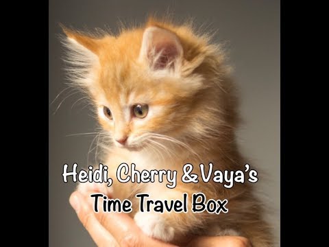 Fun Bedtime Story For Kids | Heidi, Cherry & Vaya's Time Travel Box