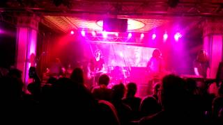 Survival of the Fittest / It&#39;s a Jungle Out There