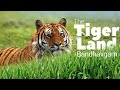 Bandhavgarh National Park Indian Jungle National Geographic Indian Wildlife Documentary Hindi