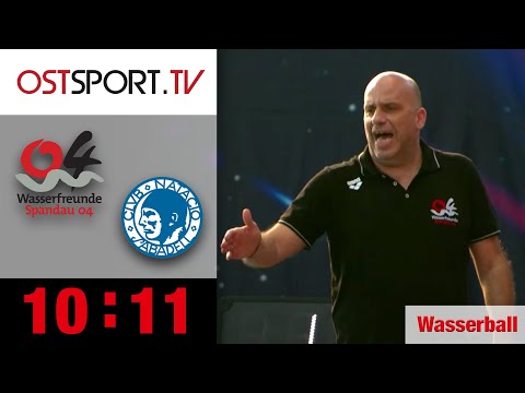 Traum vom Final 8 für die Wasserfreunde 04 Spandau geplatzt | Wasserball Champions League