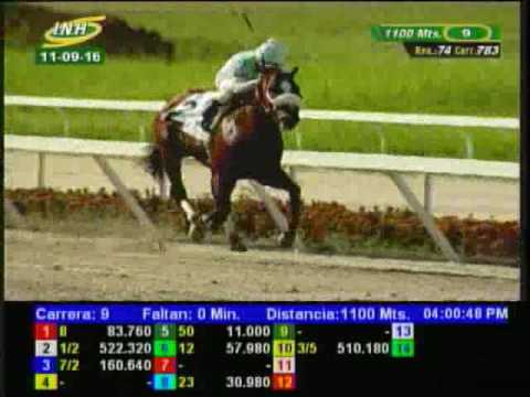 Resumen Domingo, 11 de Septiembre de 2016 - La Rinconada