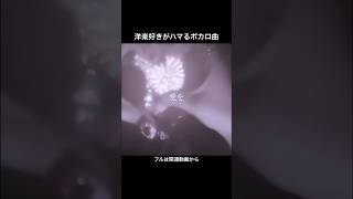 洋楽好きがハマるボカロ曲 #ボカロオリジナル曲 #作詞作曲 #vocaloid