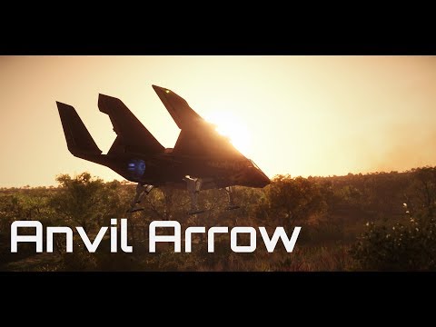 Star Citizen 3.3.6 - The Anvil Arrow - 4K | 2080-Ti