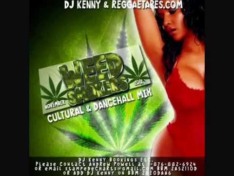 DJ KENNY  WEED SMOKERS CULTURAL & DANCEHALL MIX (NOV 2012)