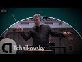 Tchaikovsky The Sleeping Beauty Suite Op 66a Nordwestdeutsche Philharmonie Live Concert HD