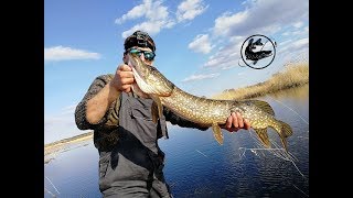 Рыбалка в саратове весной на щуку