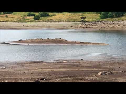 Llyn Celyn Reservoir 17/07/18