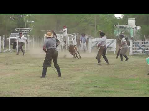9 y 10 de Febrero 2025 , Juan Jorba San Luis Argentina