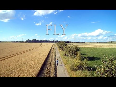 FLY (The Field)