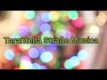 Tarantella Straße Musicker Matteo Live Park 2021