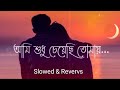 Ami Sudhu Cheyechi tomai ( আমি শুধু চেয়েছি তোমাই ) | Lyrics Video Song (Lofi) | #