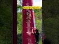 Jump Record Pitbull High Jump Record Dog Pitbull Dogfight Pitbulldog Doglover Shorts