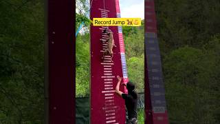 Download lagu Jump record pitbull ||🐕💪|| high Jump record|| #dog #pitbull #dogfight #pitbulldog #doglover #shorts mp3