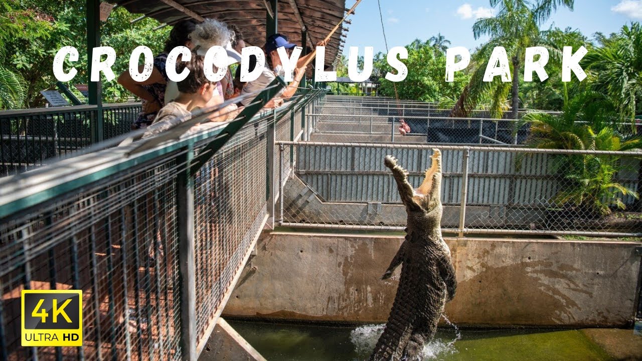 Embark on a captivating virtual tour of Crocodylus Park.