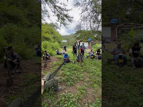 Balsamal - Matapalo - Zarumilla- Tumbes #shortvideo #viral #shorts #short #youtubeshorts #reels