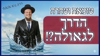הדרך לרוח הקודש ולהשלמת הגאולה - לשוב ולקיים הלכות טומאה וטהרה! מהפכני! | הרב גיא אלאלוף (הרב גיא אלאלוף) - התמונה מוצגת ישירות מתוך אתר האינטרנט יוטיוב. זכויות היוצרים בתמונה שייכות ליוצרה. קישור קרדיט למקור התוכן נמצא בתוך דף הסרטון