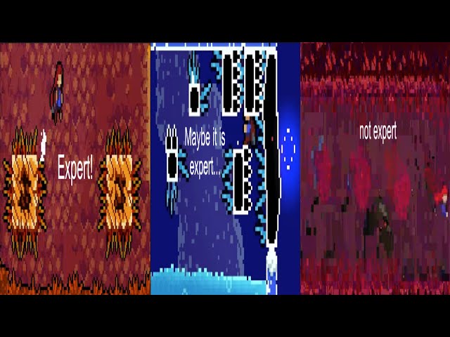 Luc Tries Mapping Expert