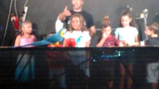 Show de loros