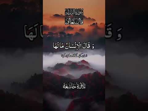 Al-Quran-Kareem#Sourh-Tull#Zillzall#qurantelwat #islamicscripture #channelpages #