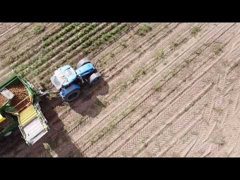 wm kartoffeltechnik 8500 l