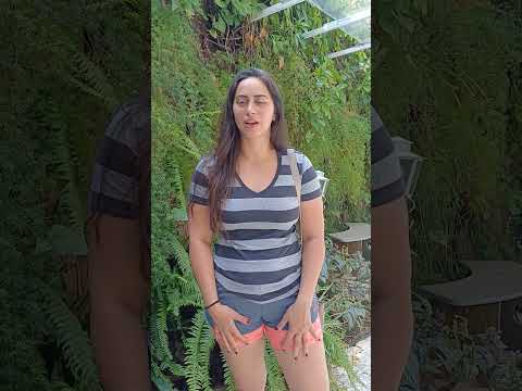 Depoimento em vídeo — Depilação a Laser