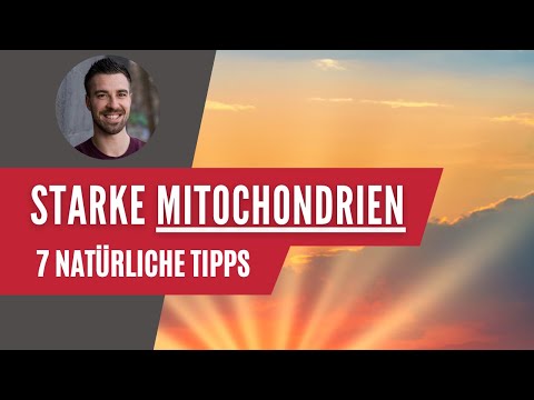 Strong mitochondria 🌱 7 natural tips that are UNDERESTIMATED!