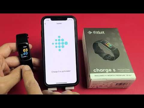 アプリ経由で Fitbit を更新: わずか数ステップで更新できます