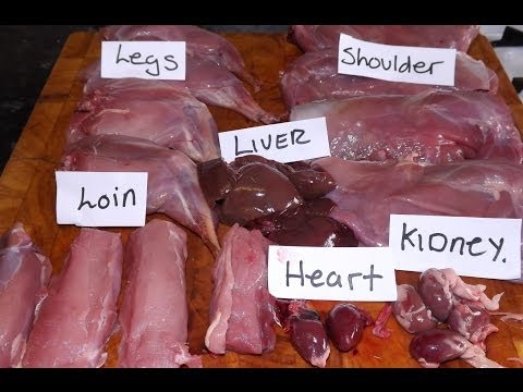 download lagu mp3 mp4 Rabbit Heart Recipe, download lagu Rabbit Heart Recipe gratis, unduh video klip Rabbit Heart Recipe