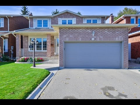 46 Sunforest Drive Brampton, Saahil Dang