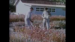 Download lagu Guide To Canberra mp3 Download lagu Guide To Canberra mp3