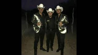 Ojitos De Capulin - Novillos De La Sierra (En Vivo)