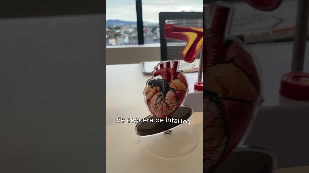 Diana Olivia Vergara Soto-6