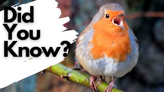 Things you need to know about ROBINS!