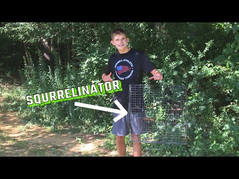 Trying to trap squirrels with the squirrelinator trap!(any good?)